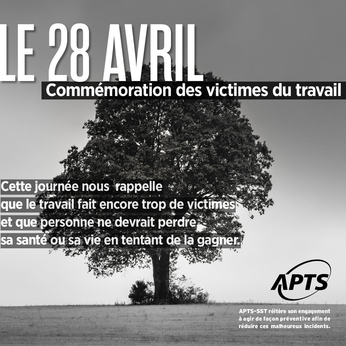28 avril - Journée internationale de commémoration des travailleur·euse·s blessé·e·s ou décédé·e·s au travail - APTS 28 avril - Journée internationale de commémoration des travailleur·euse·s blessé·e·s ou décédé·e·s au travail - APTS